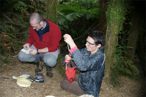Field Work